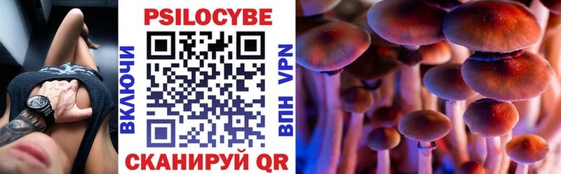 как найти   Стародуб  Галлюциногенные грибы мицелий 